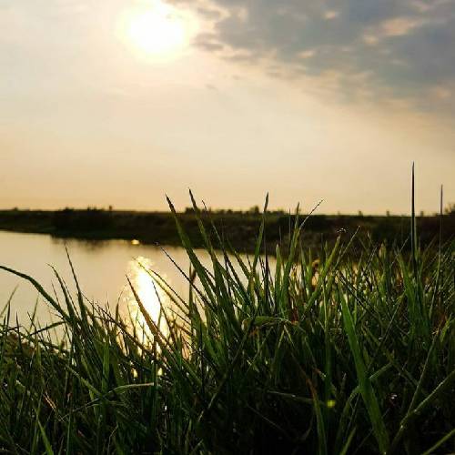 مسعود صادقلو چه زیبای بالا بلندی چه جذابی وقتی میخندی